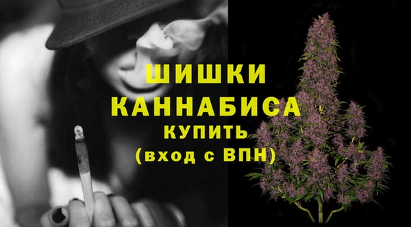 эйфоретик Магас