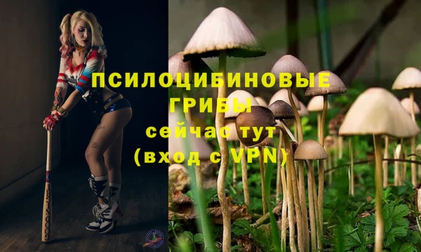 а пвп мука Майский