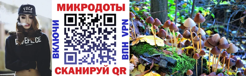 Галлюциногенные грибы Magic Shrooms  Яранск 