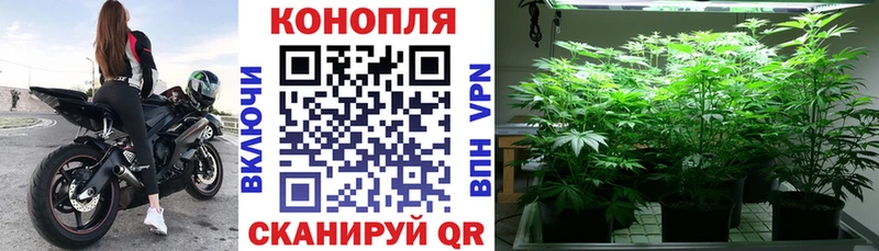 kraken рабочий сайт  как найти наркотики  Яранск  Конопля LSD WEED 